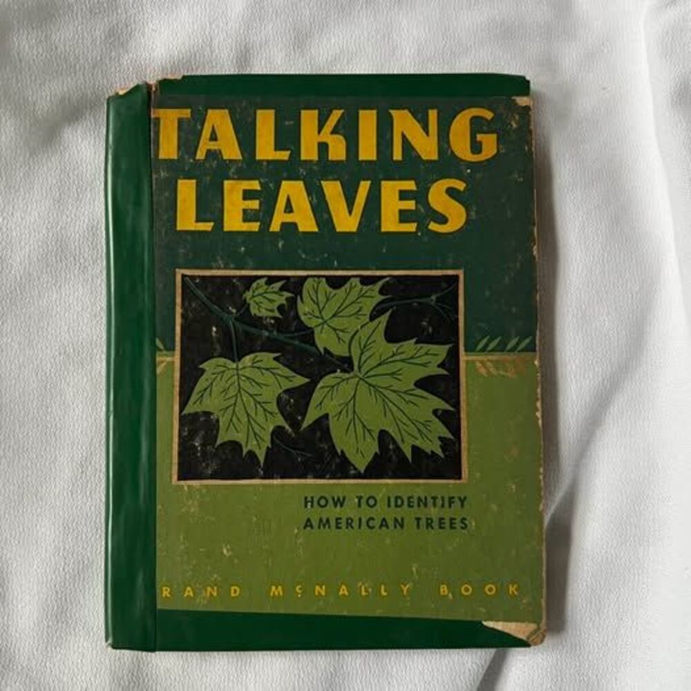 Talking Leaves: How to Identify Trees